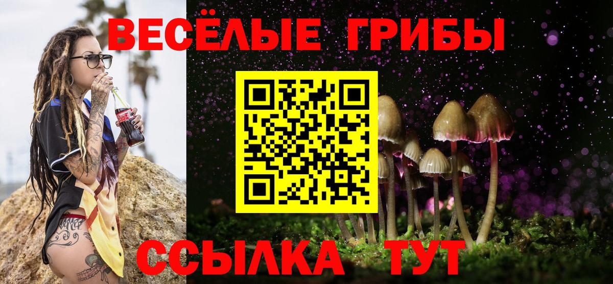 Галлюциногенные грибы Magic Shrooms Калуга