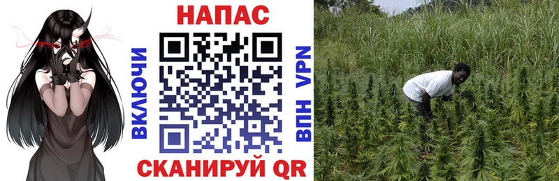 Марихуана семена дарк нет клад Калуга
